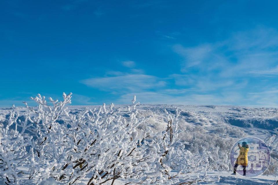 據說「YAMAHA」老闆當初會選擇這塊地建造滑雪場，是由於這裡雪季有7個月，積雪厚達20公尺，相當適合滑雪度假。