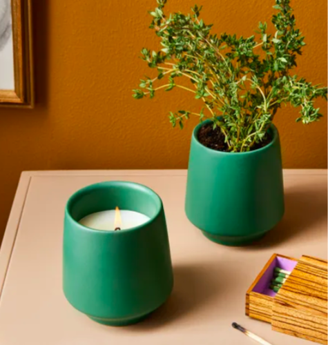 Modern Sprout Rooted Plantable Scented Candle