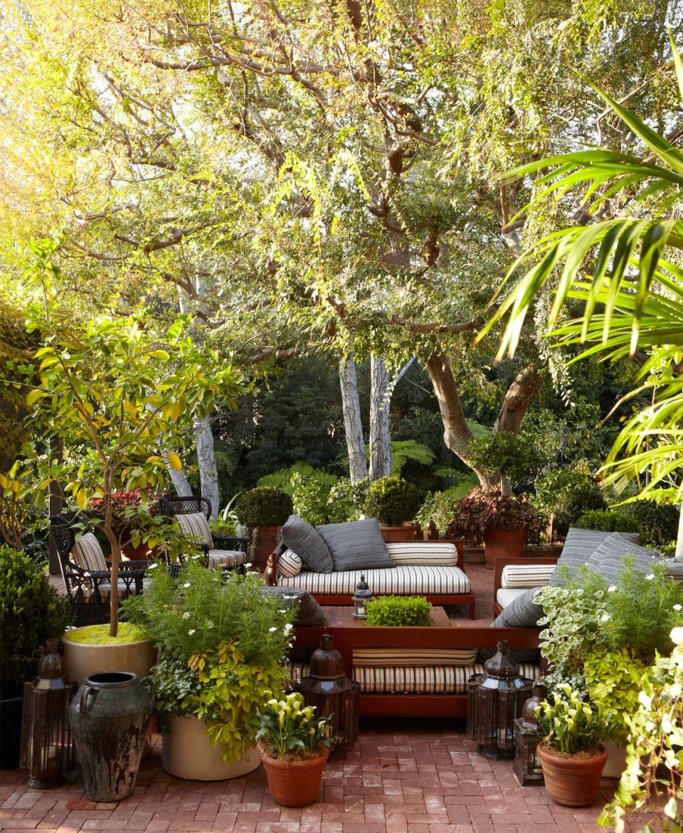 a patio with potted plants