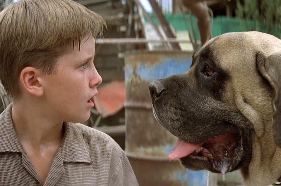 The Beast in 'The Sandlot'