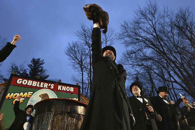 <p>AP Photo/Barry Reeger</p> Groundhog Club handler A.J. Dereume holds Punxsutawney Phil, the weather prognosticating groundhog, during the 138th celebration of Groundhog Day on Gobbler's Knob in Punxsutawney, Pa. on Friday, Feb. 2, 2024.