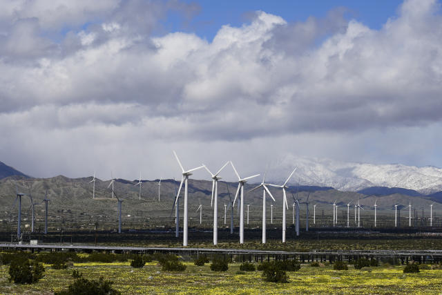 FILE - Wind turbines stand in fields near Palm Springs, Calif, March 22, 2023. Electricity generated from renewables surpassed coal in the United States for the first time in 2022, the U.S. Energy Information Administration announced Monday, March 27, 2023. (AP Photo/Ashley Landis, File)