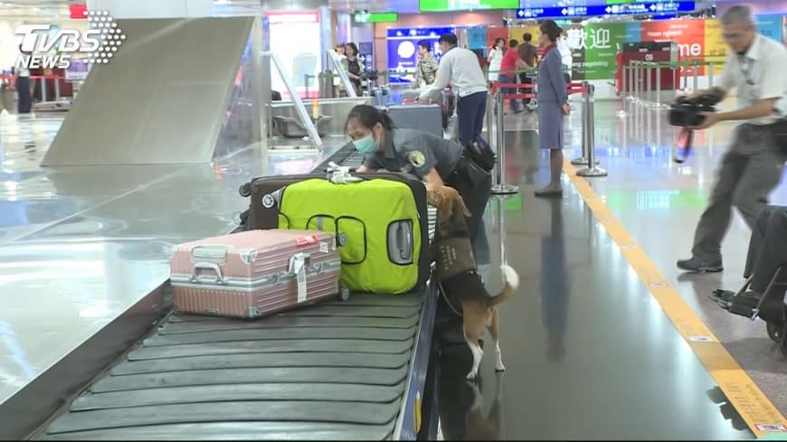 如果不想在機場苦等行李，台灣虎航推出「優先行李」服務，加價就可以加速。（圖／資料照）