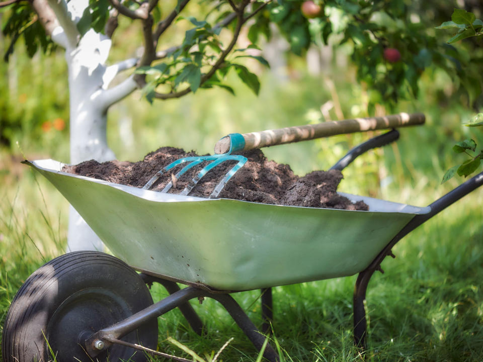 wheelbarrow with compost and fork