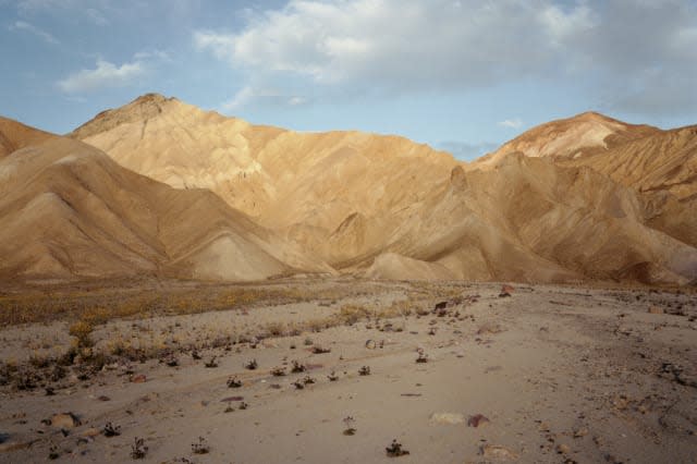 USA, Nevada, Death Valley National Park, landscape