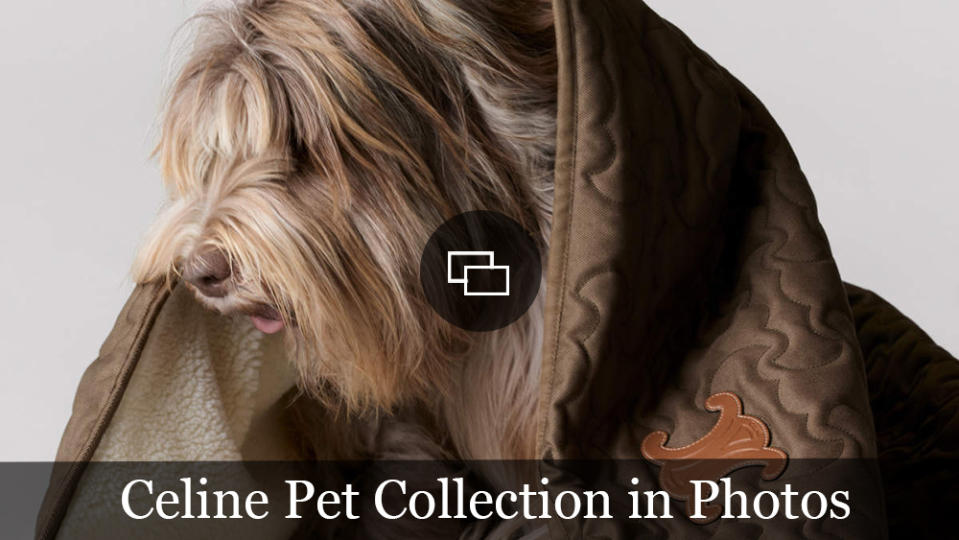 Celine Pet Collection