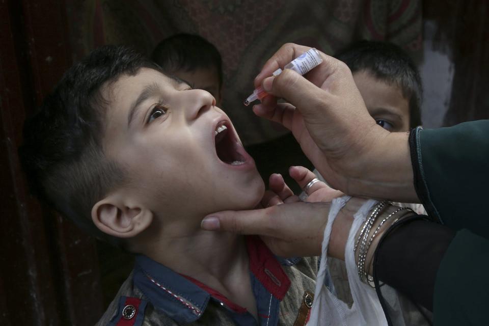 A boy in Pakistan receives a dose of the oral polio vaccine. <a href="https://newsroom.ap.org/detail/PakistanPolio/23a6599533e34577b64f4932393fa80a/photo?Query=polio&mediaType=photo&sortBy=arrivaldatetime:desc&dateRange=Anytime&totalCount=1705&currentItemNo=17" rel="nofollow noopener" target="_blank" data-ylk="slk:AP Photo/Muhammad Sajjad;elm:context_link;itc:0;sec:content-canvas" class="link ">AP Photo/Muhammad Sajjad</a>