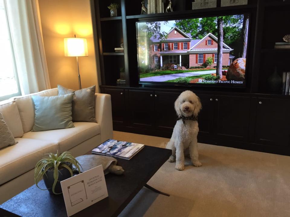 A TV room for the whole family