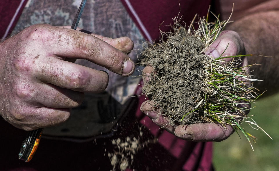 Farmer, Baptiste Colson, holds a clump of dried earth and grass as he stands in a sun-dried field in Moloy, France Wednesday Aug. 10, 2022. Burgundy, home to the source of the Seine River which runs through Paris, normally is a very green region. This year, grass turned yellow, depriving livestock from fresh food, and tractors send giant clouds of dust in the air as farmers work in their dry fields. (AP Photo/Nicholas Garriga)