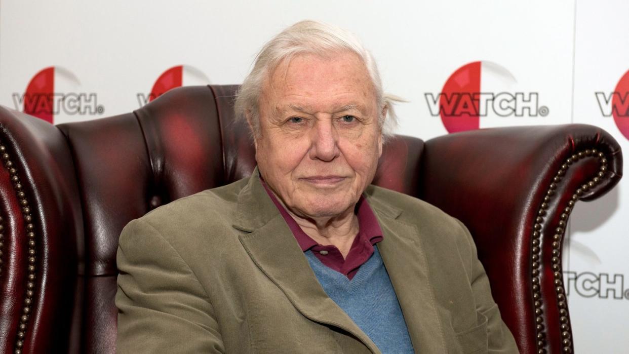 Sir David Attenborough bei der Vorstellung seines Films 