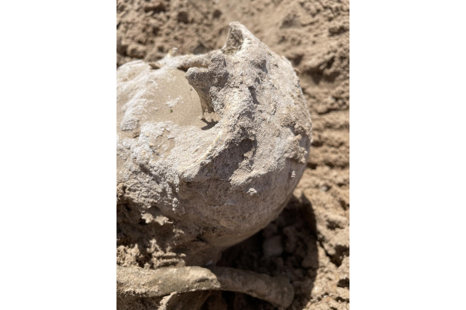 This photo of Saturday, May 7, 2022, provided by Lindsey Melvin of Henderson, Nev., shows human remains she and her sister discovered on a sandbar that recently surfaced as Lake Mead recedes. A closer look revealed a human jaw with teeth. The National Park Service confirmed in a statement that the remains are human. (Lindsey Melvin via AP)