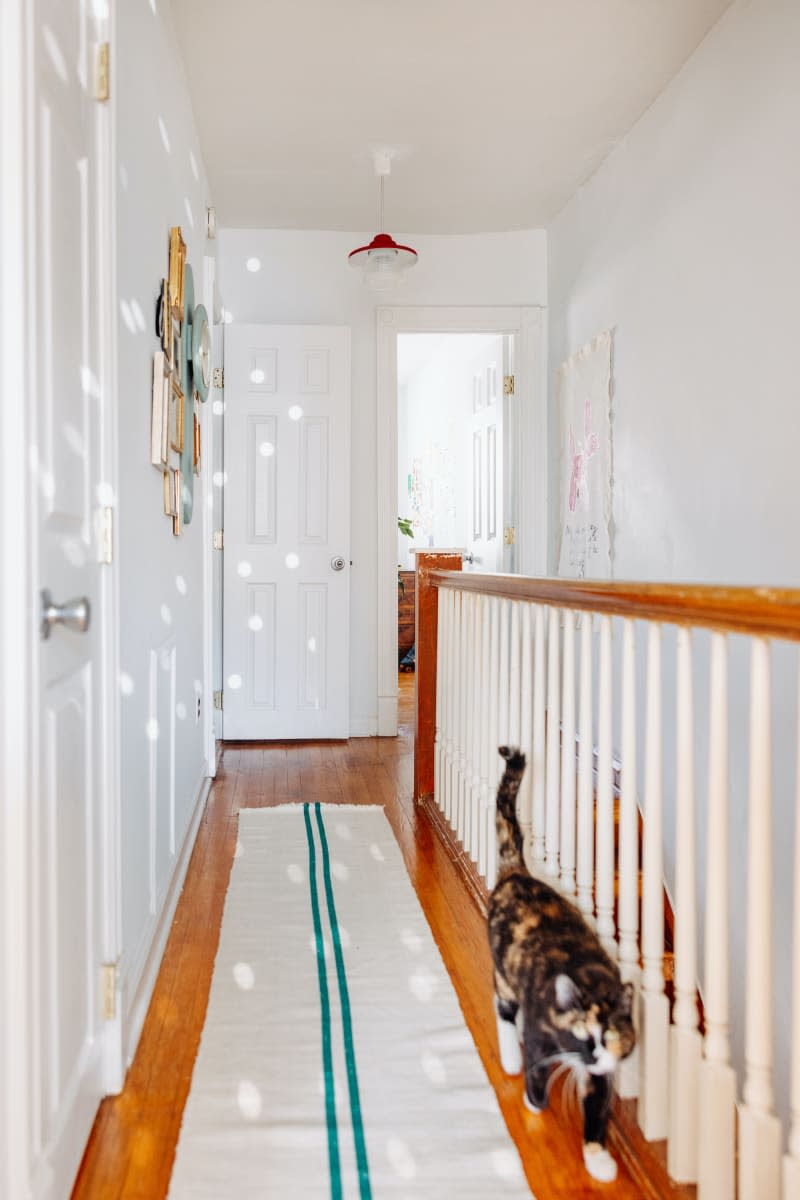 Cat strolls aside striped runner in white hallway.