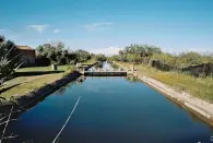 En la granja también se produce miel y se crían pescados y ostras. Todo ello está a disposición de los huéspedes. (Foto: <a href="http://www.airbnb.es/rooms/12110686?_set_bev_on_new_domain=1598534244_ZDg5N2M3ZWE3YzY1&source_impression_id=p3_1598534243_2QH3Zgm9E6HE3c5k" rel="nofollow noopener" target="_blank" data-ylk="slk:Airbnb;elm:context_link;itc:0;sec:content-canvas" class="link ">Airbnb</a>).