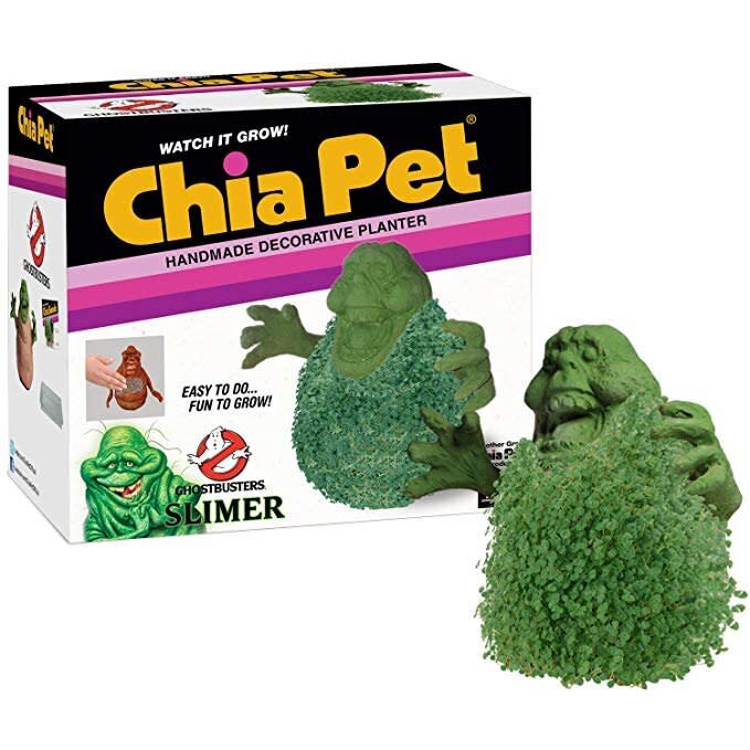 Slimer Chia Pet (Photo: Amazon)