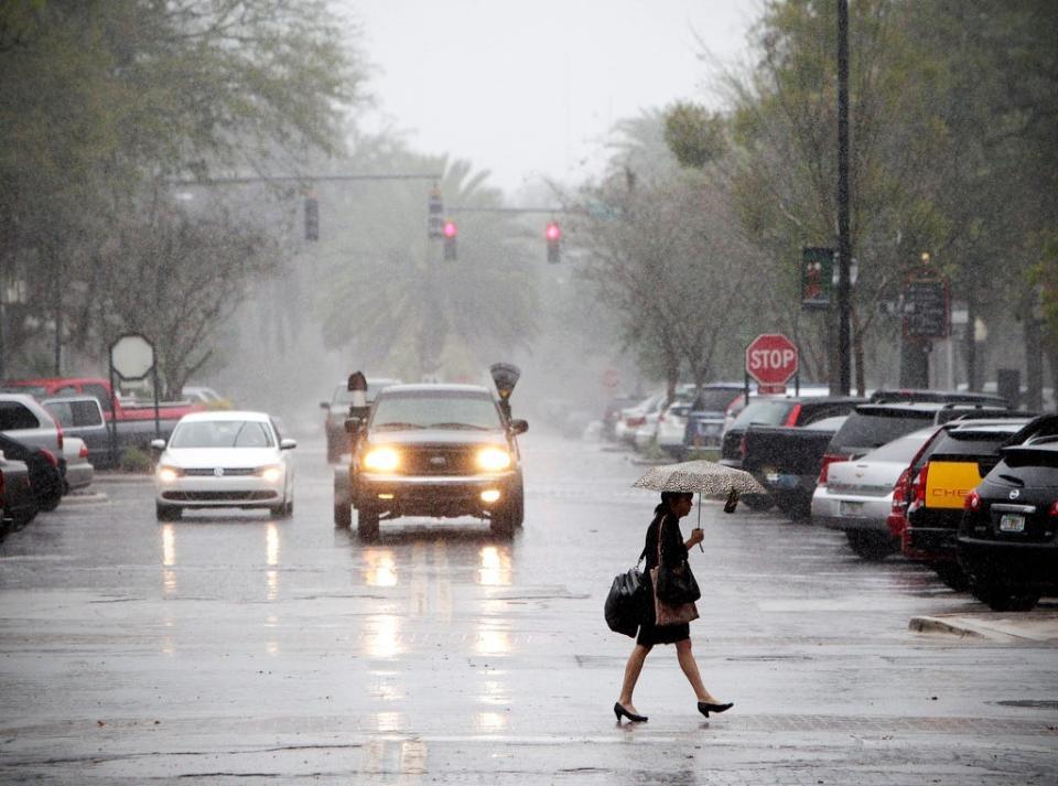 A woman crosses the street under her umbrella in the rain on Tuesday Feb. 26, 2013 in downtown Gainesville.