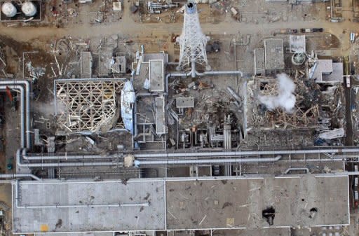 The stricken Tokyo Electric Power Company (TEPCO) Fukushima nuclear power plant. Once the pride of Fukushima prefecture, prized for their marbled beef and rich milk, most of the 10,000 or so cattle in the exclusion zone are feared dead, a local farm official said. Thousands of pigs, chickens and other livestock probably also died in their cages or pens with no food or water, he added