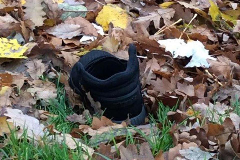 The shoe that was lost in the park (PA)