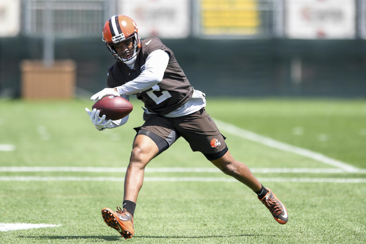 Photos: Browns Wide Receivers for 2019 Training Camp