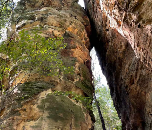 Mill Bluff State Park's rock formations are providing the inspiration for Milwaukee Public Museum's new museum design.