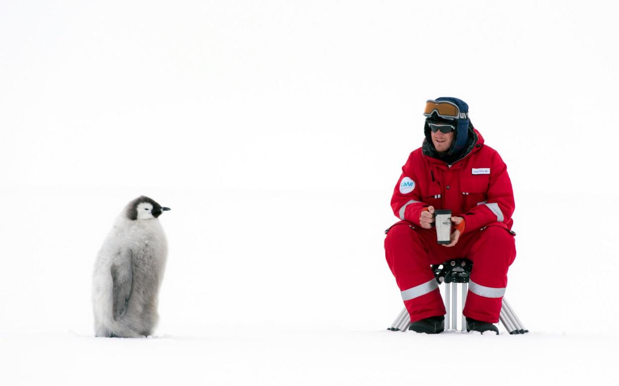 Cameraman Lindsay McCrae takes a break from filming with an emperor penguin in Antarctica  - 2