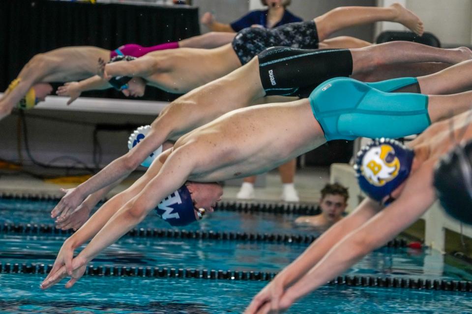 The competitors hit the water during a race at the state swimming championships.