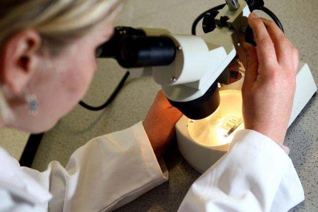 The cause of a number of hepatitis cases is under investigation (David Davies/PA) (PA Wire)