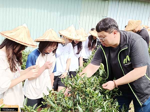 天芳茶行黃耀寬推廣食農教育。（圖：新北市農業局提供）