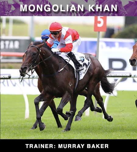 ATC Australian Derby winner Mongolian Khan is one of the top contenders from New Zealand.