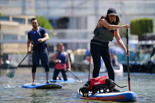 A woman takes her dog paddle-boarding on the canal in Paddington Basin, north London