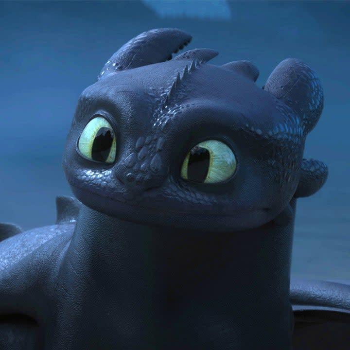 A closeup of Toothless who has wide eyes