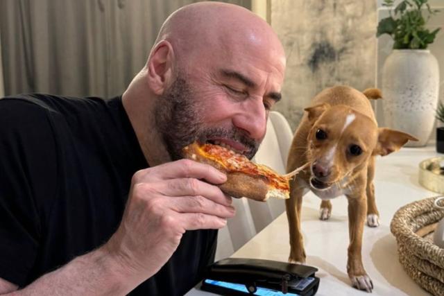 dogs and hockey .. two of my sons favorite things