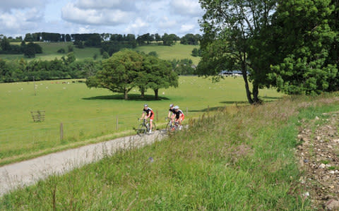 Cyclists on the South Downs