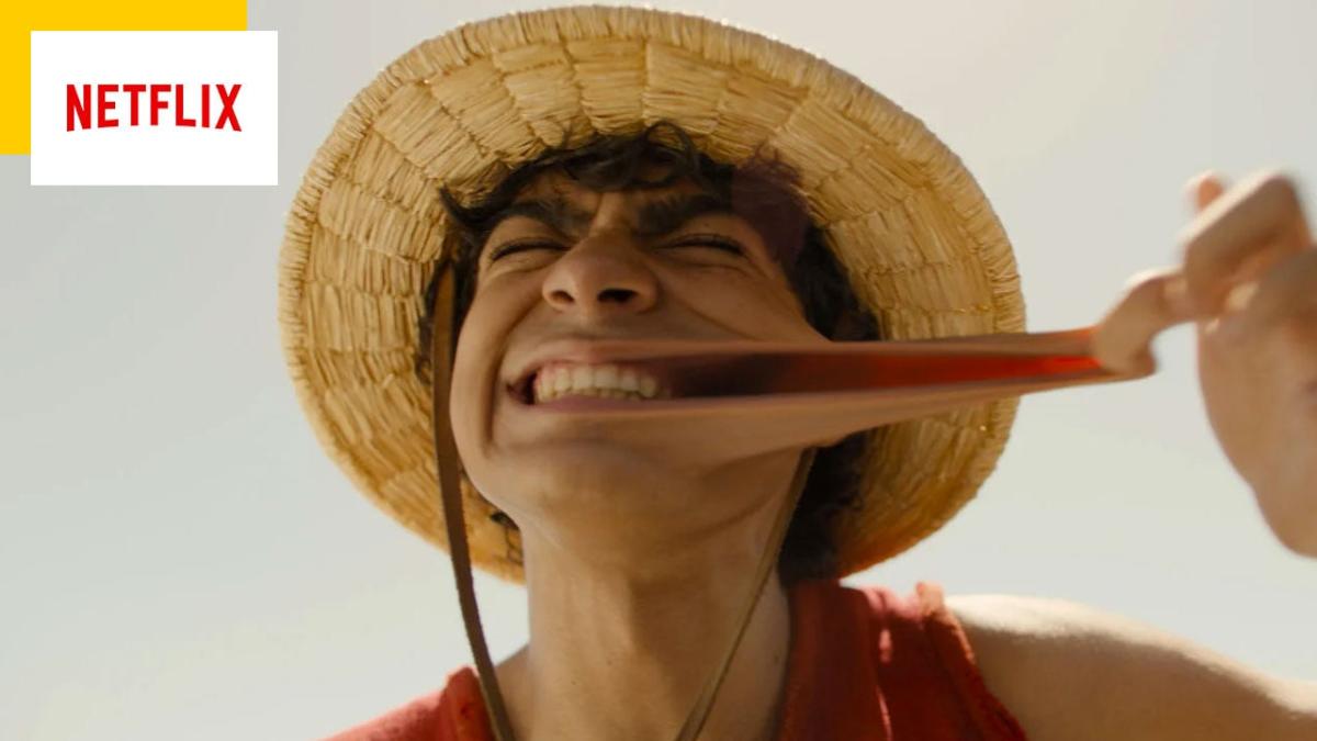 One Piece : c'est quoi un Fruit du Démon ? East Blue ? Le Vogue Merry ?  Voici le lexique de la série live action de Netflix ! - News Séries -  AlloCiné