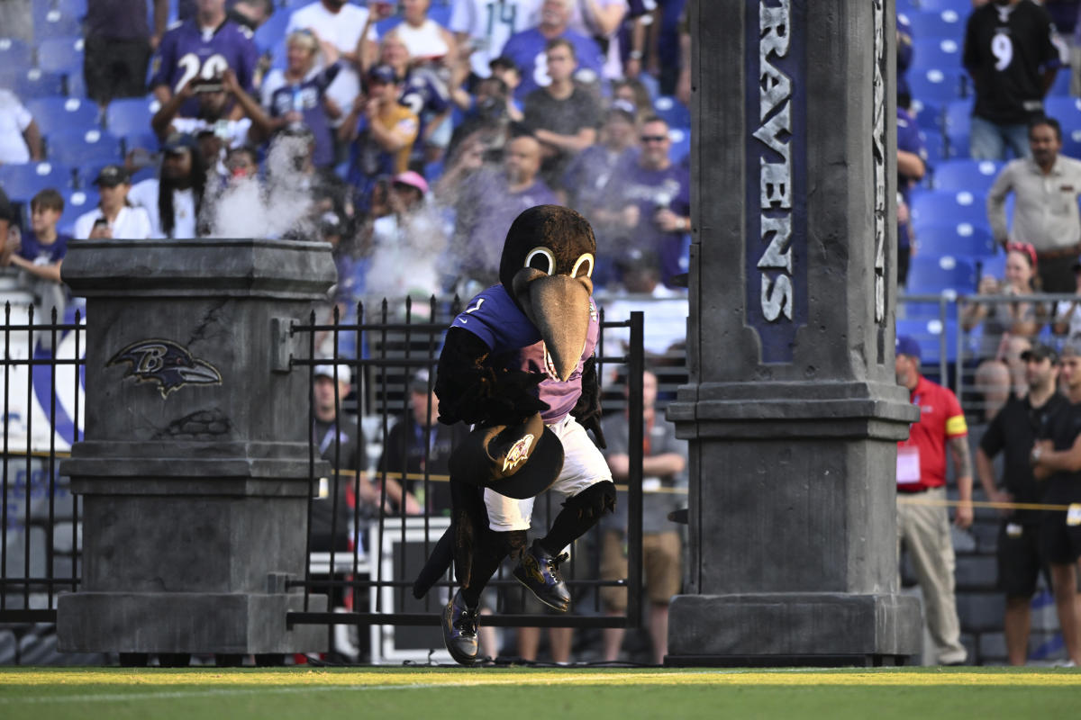 Ravens mascot, Poe, carted off field after injury during halftime