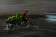 A man rides his cycle rickshaw, ferrying plants, through a waterlogged street as it rains in New Delhi, India, Thursday, Sept. 22, 2022. (AP Photo/Altaf Qadri)