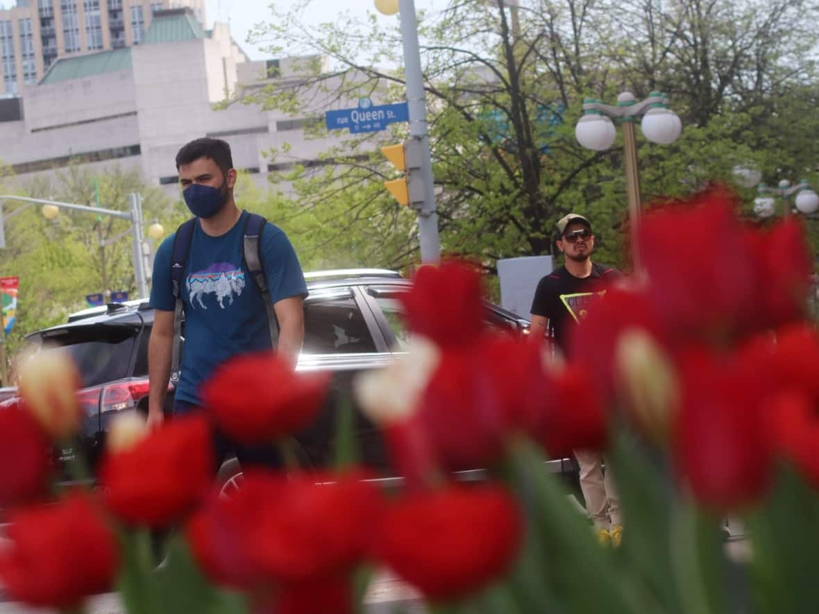 Pedestrians are framed by tulips as they walk through downtown Ottawa on May 12, 2022. (Trevor Pritchard/CBC - image credit)