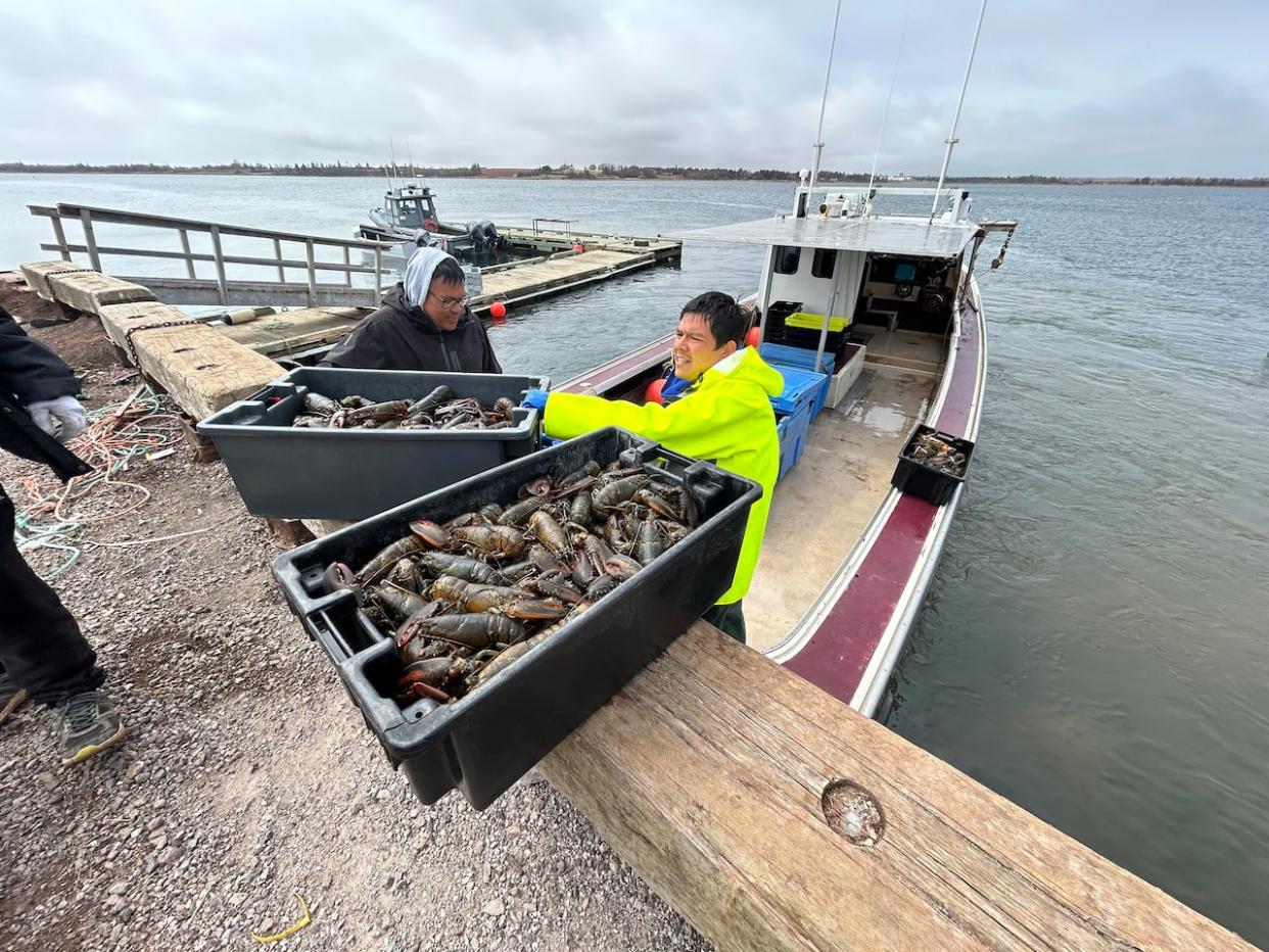 Fishermen unload catches in early May at the Lennox Island First Nation's wharf.  (Laura Meader/CBC - image credit)