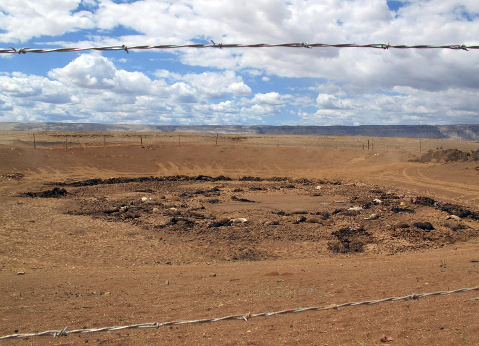 FILE - Dozens of horse carcasses lying in a dry watering hole are surrounded by a barbed wire fence near Cameron, Ariz., on May 3, 2018. The Federal Emergency Management Agency has developed a new strategy to better engage with hundreds of Native American tribes as they face climate change-related disasters, the agency announced Thursday, Aug. 18, 2022. (AP Photo/Felicia Fonseca, File)