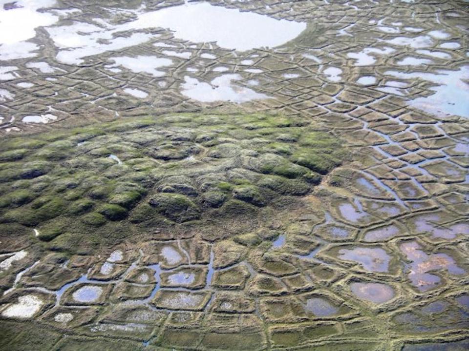 Thawing pingo and polygons – a mound and depressions formed by ice wedges – in the Northwest Territories, Canada. <a href="https://commons.wikimedia.org/wiki/File:Melting_pingo_wedge_ice.jpg" rel="nofollow noopener" target="_blank" data-ylk="slk:Emma Pike /Wikimedia;elm:context_link;itc:0;sec:content-canvas" class="link ">Emma Pike /Wikimedia</a>