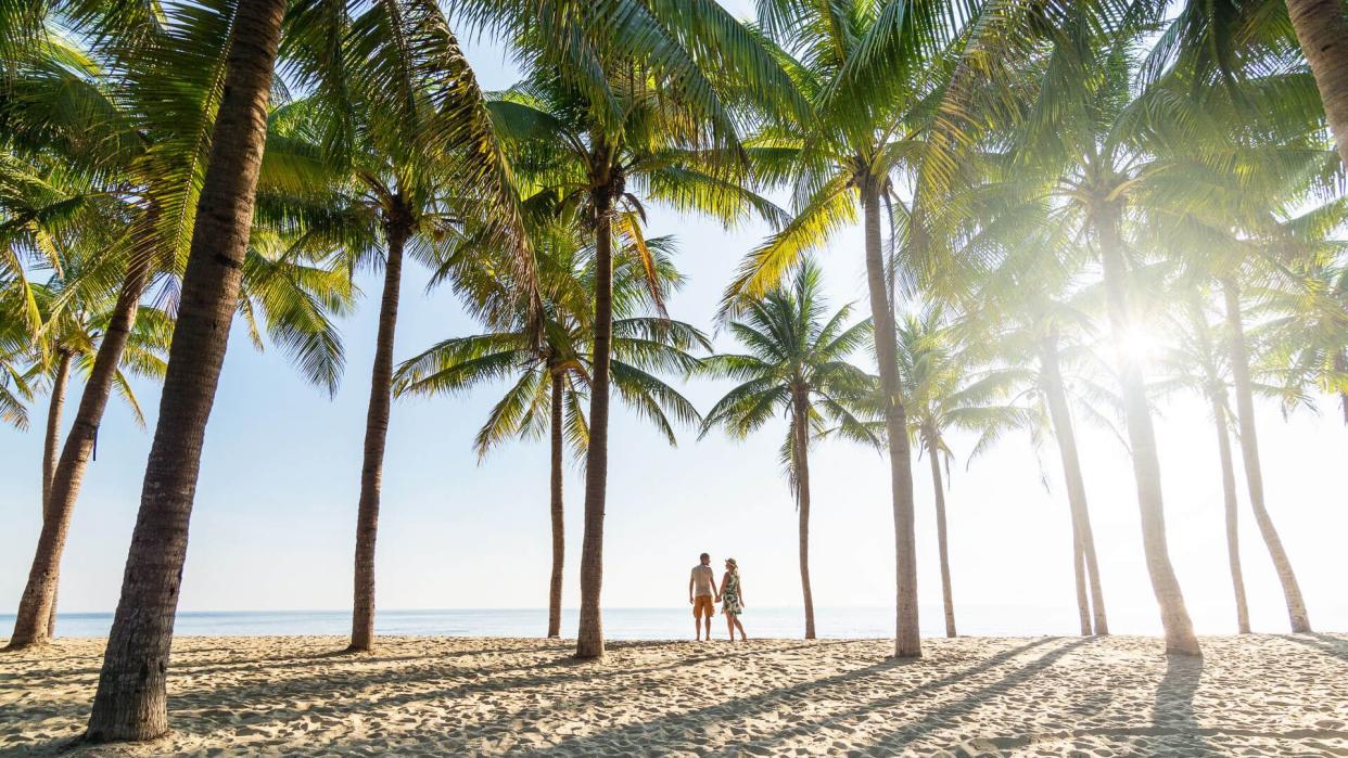 Couple standing on sandy beach among palm trees on sunny morning at seaside.