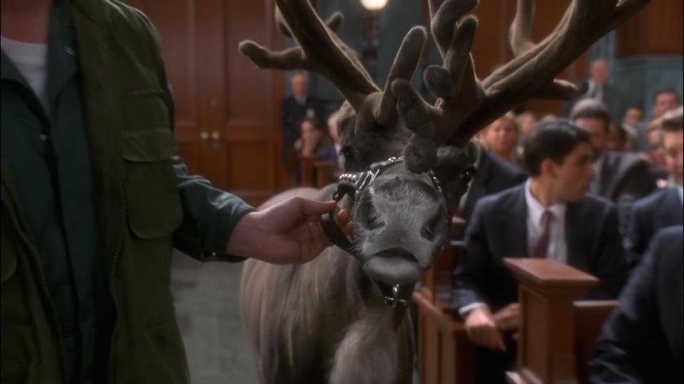 A reindeer in a courtroom in Miracle on 34th Street