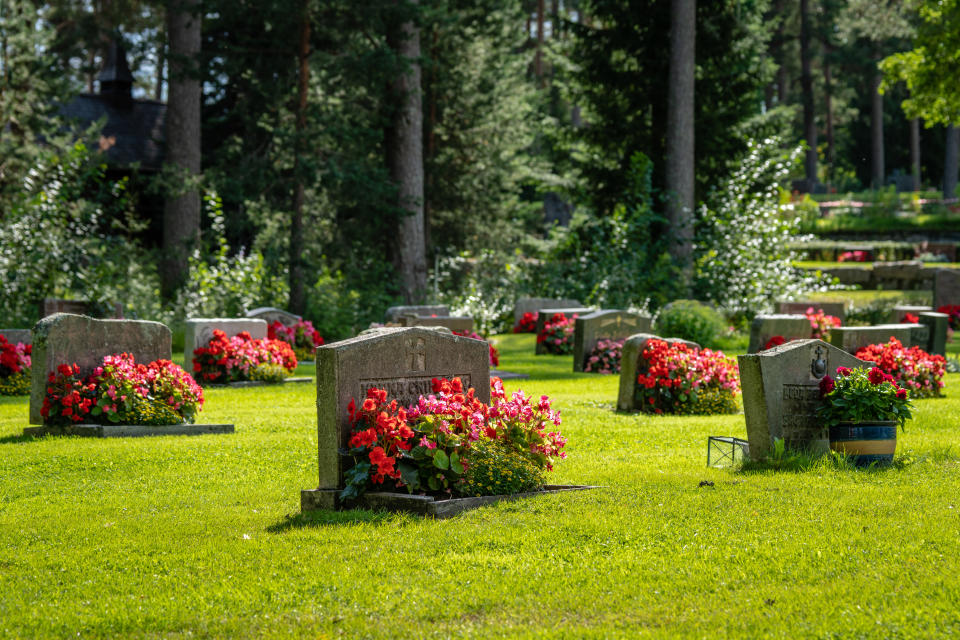 Bright summer sunshine on rows of gravestones with red and pink flowers on a beautiful and well cared cemetery