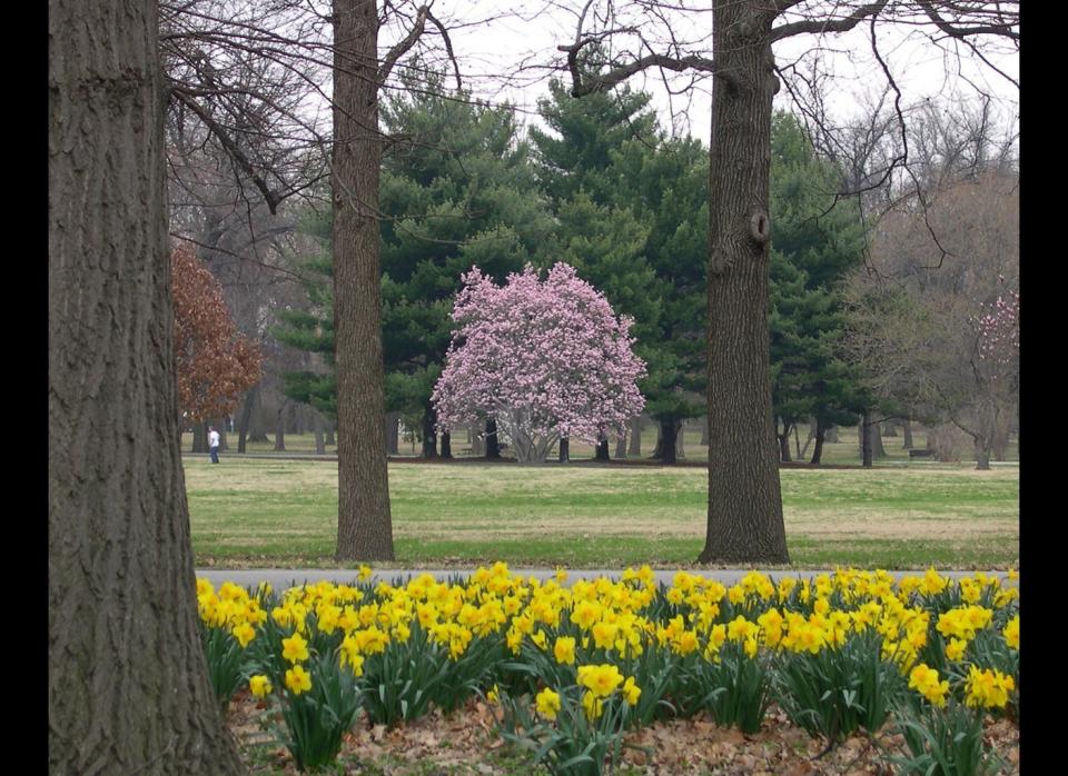 210 Buddhist adherents per 100,000 persons.   Credit: Wikimedia Commons. Original photo <a href="http://upload.wikimedia.org/wikipedia/commons/5/5a/Tower_Grove_Park_Scene_1.jpg" target="_hplink">here</a>. 