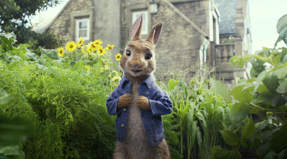 Peter Rabbit, voiced by James Corden, in a scene from <em>Peter Rabbit</em>. (Columbia Pictures/Sony via AP, File)