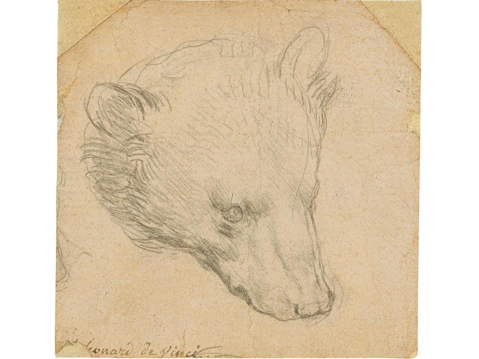 ‘Head of a Bear’ by Leonardo da Vinci (Christie’s via Reuters)