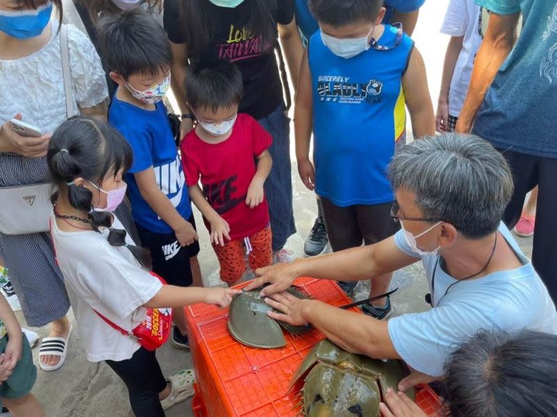 ▲移民署金門服務站27日邀請縣水產試驗所「養鱟達人」成勇生帶領新住民家庭走進它們多采多姿的世界。（圖／移民署提供）