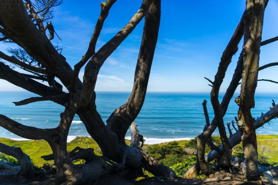 Thornton State Beach via Getty Images/Let photo prove our life