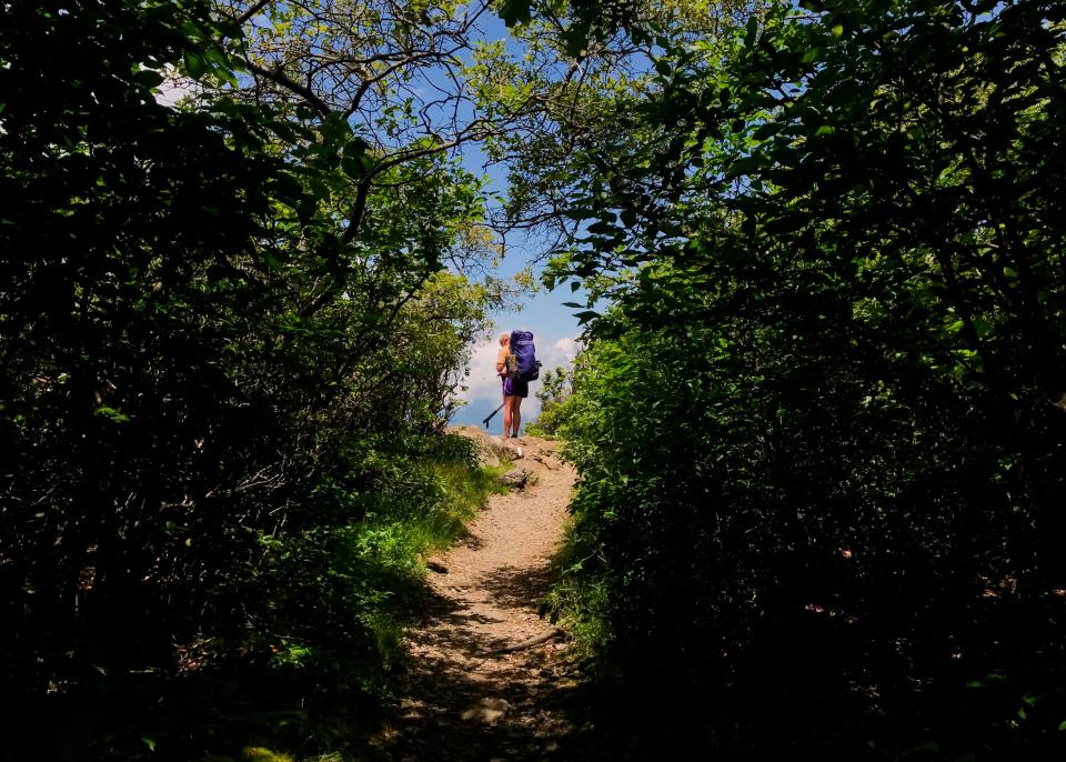 A hiker looks at a map as he walks part of the Appalachian trail in Shenandoah National park, Virginia, on June 13, 2019.