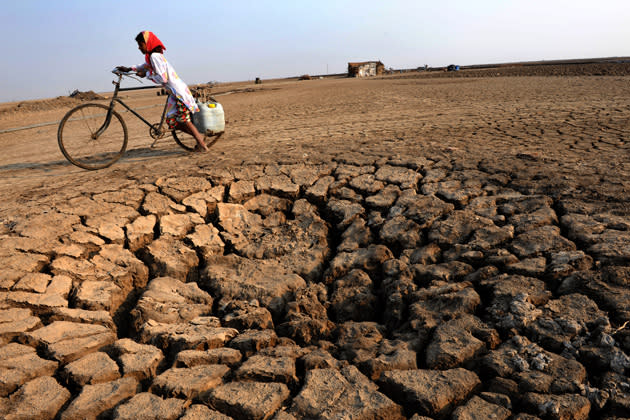 <b>Jahrhundertdürre in den USA</b><br><br>Tausende Getreidefelder vertrockneten, die Ernten von Mais und Soja fielen um bis zu 17 Prozent schwächer aus: Preise für Soja stiegen um 30 Prozent, für Mais um 50 Prozent. 28 der 50 Bundesstaaten waren von der Dürreperiode betroffen. Auch Indien (siehe Foto) machte die Hitze zu Schaffen. Weil es in der Monsunzeit 20 Prozent weniger regnete, fiel ein großer Teil der Ernte aus. (Bild: AFP)