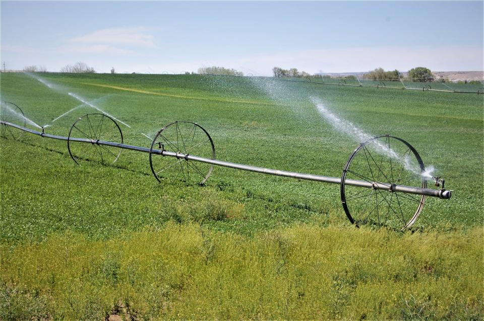 The growing season will get into full swing this week in San Juan County with the last freeze likely having taken place and temperatures expected to reach the upper 80s.